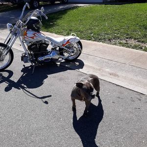 Meet your Posher, Gabe